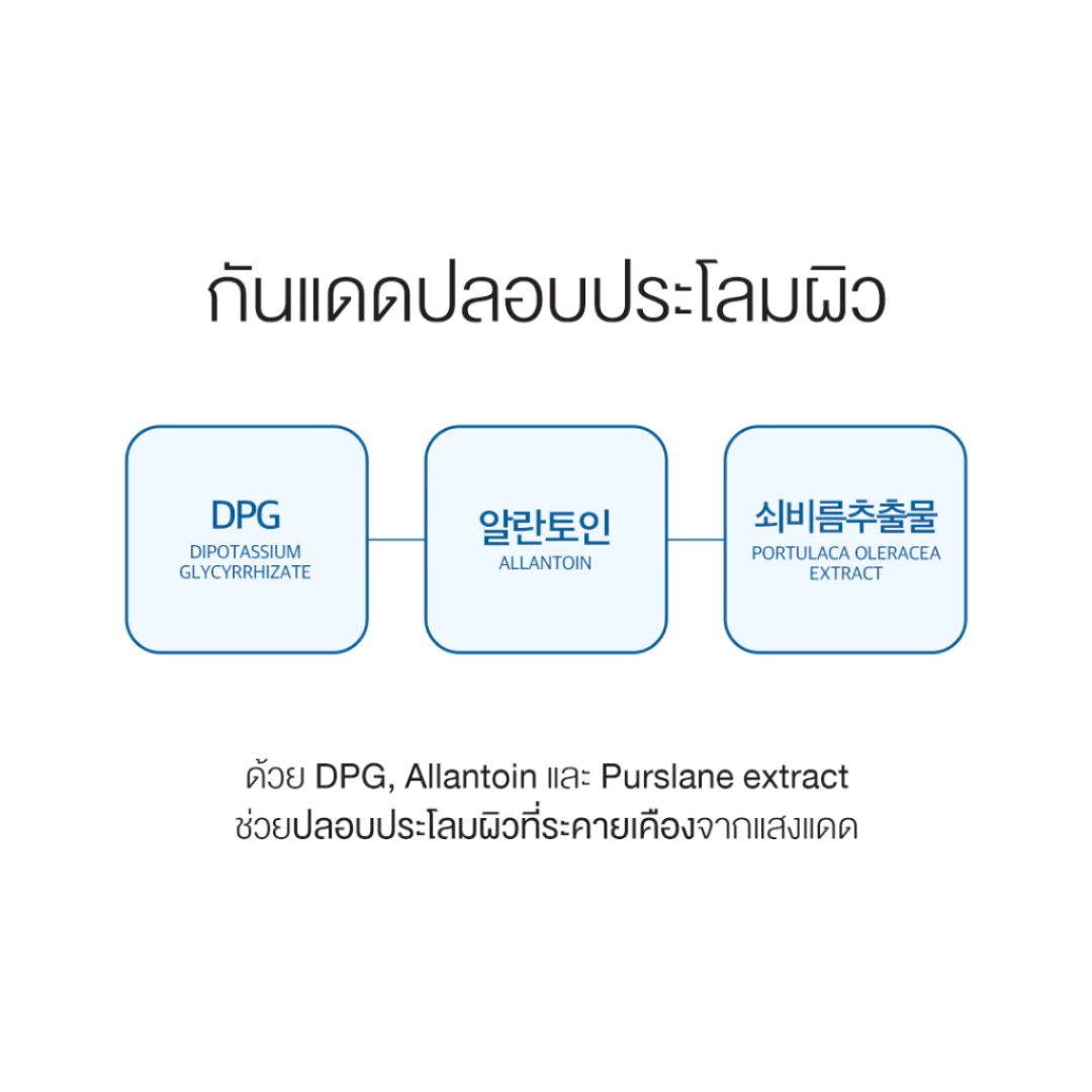 Round Lab : Birch Juice Moisturizing Sunscreen SPF50+ PA++++ 50 ml. (กันแดดเนื้อ essence)