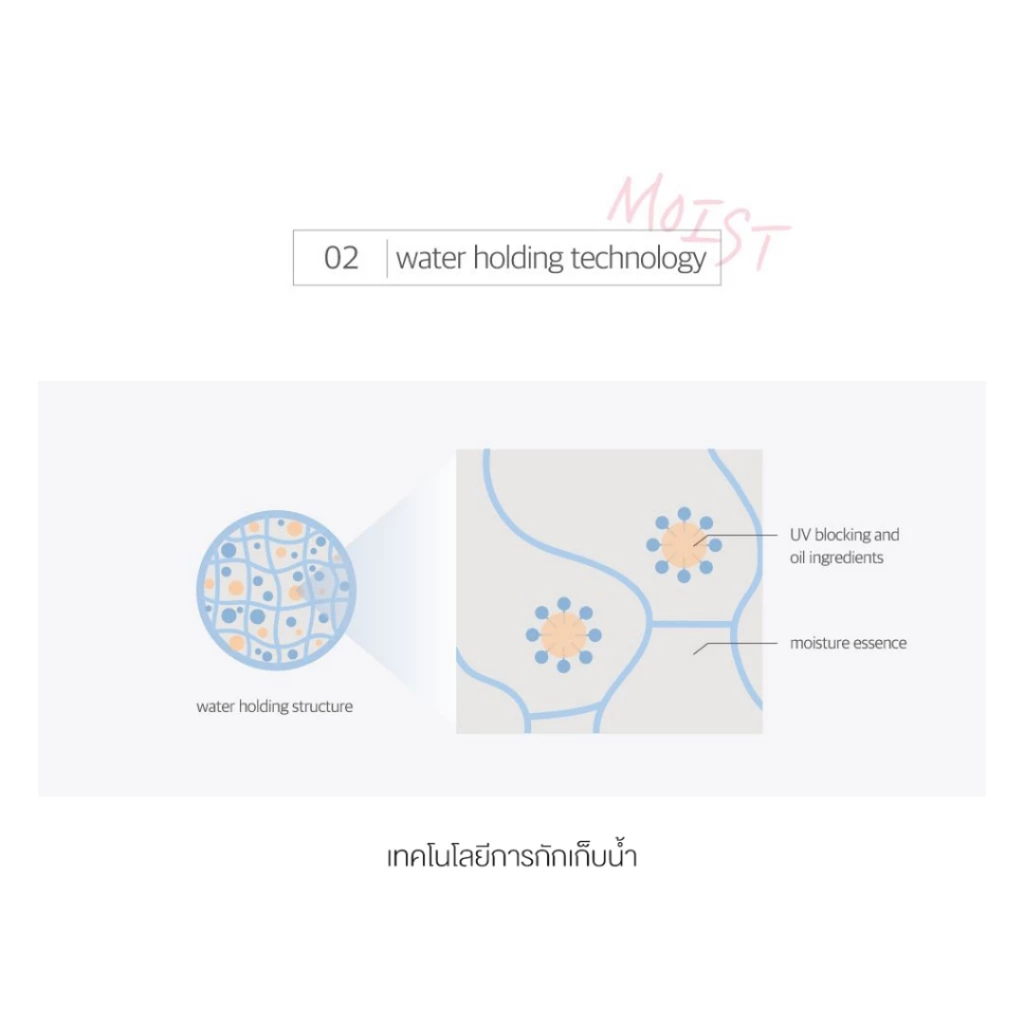 Round Lab : Birch Juice Moisturizing Tone-Up Sunscreen SPF50+ PA++++